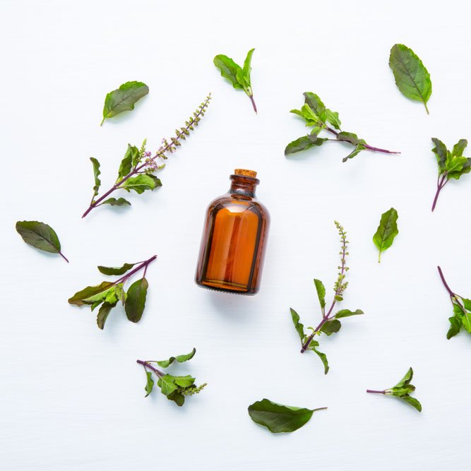 Essential Olier Sprout demo